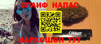 дурь Бердск